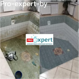 Чистка бассеина