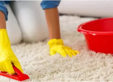 Уход за ковром и ковровым покрытием